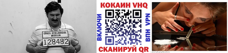 COCAIN Fish Scale  где можно купить   Муравленко 