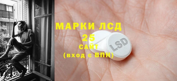 шишки Аркадак