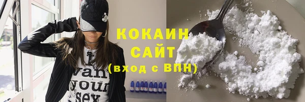 шишки Аркадак