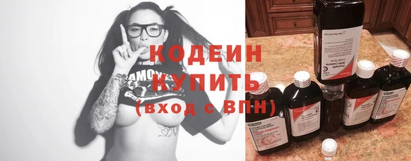 шишки Аркадак