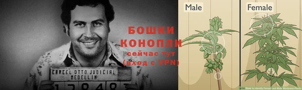 шишки Аркадак