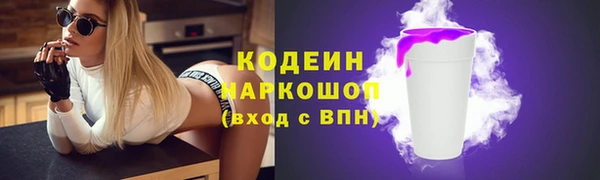 шишки Аркадак