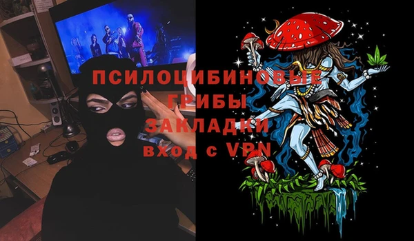 шишки Аркадак