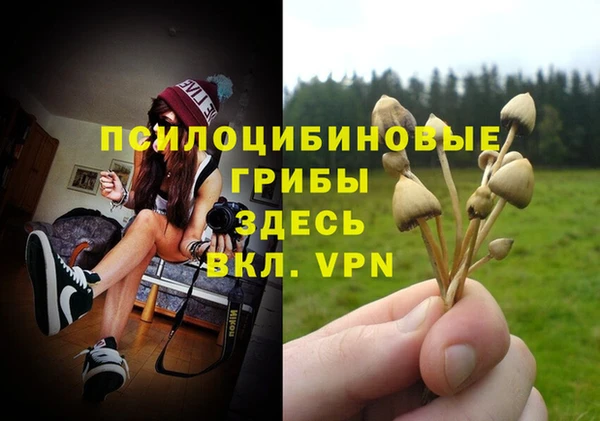 винт Арсеньев