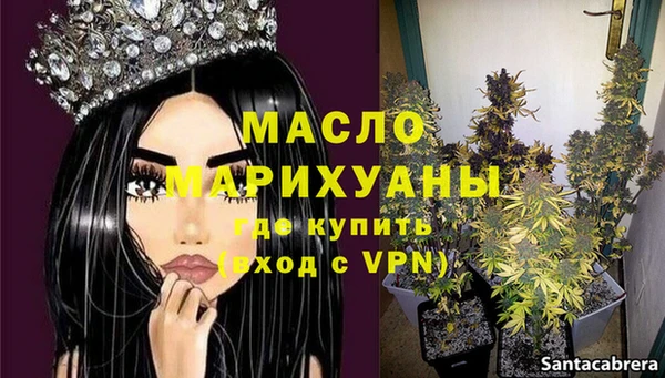 шишки Аркадак